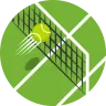 Lawn Tennis Court