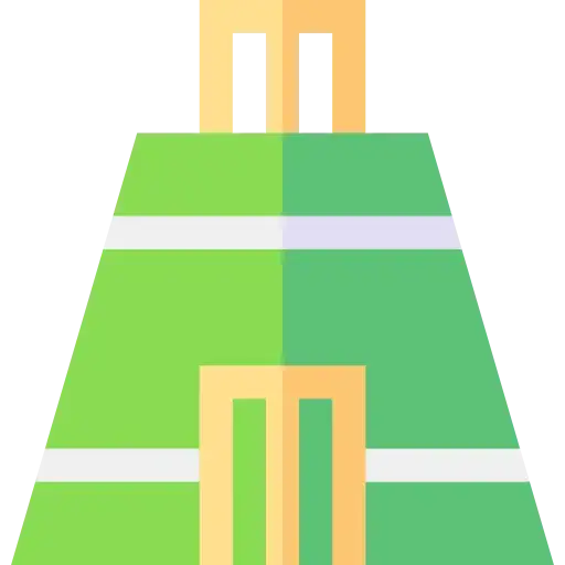 Cricket Pitch